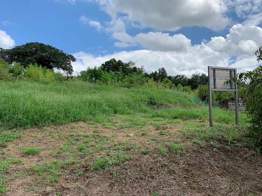 盾持人の古墳探訪記 八幡塚古墳(渋川市)