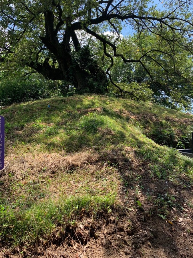 盾持人の古墳探訪記　行人塚古墳