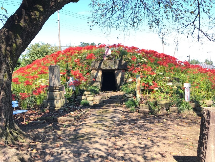 多胡薬師塚古墳