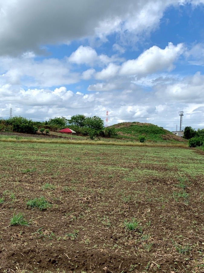 鶴山古墳(太田市)